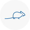 Mice Exterminators In Saltash